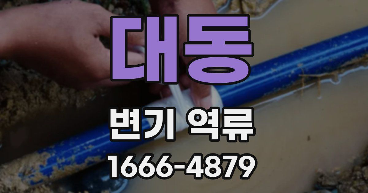 대동 변기 역류
