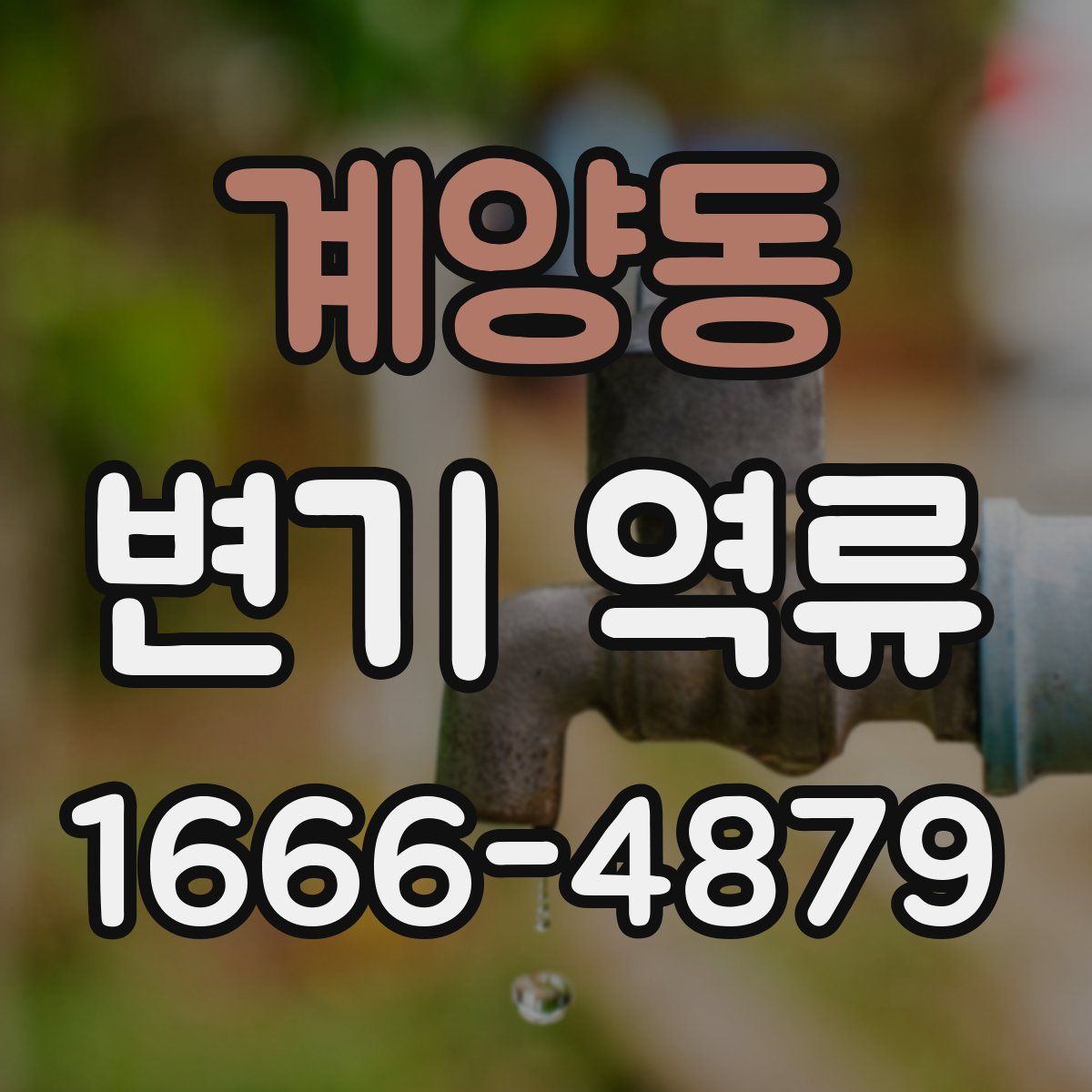 계양동 변기 역류