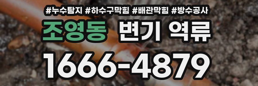 조영동 변기 역류