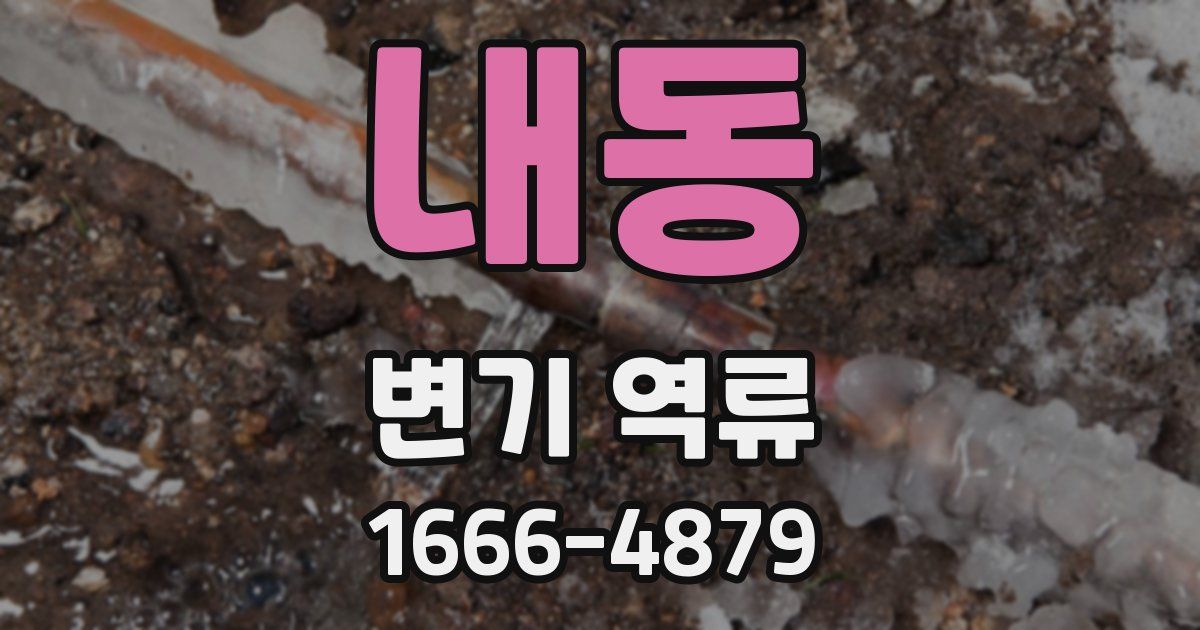 내동 변기 역류