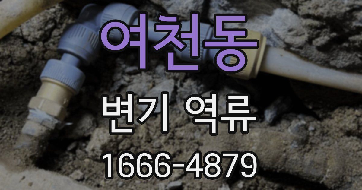 여천동 변기 역류