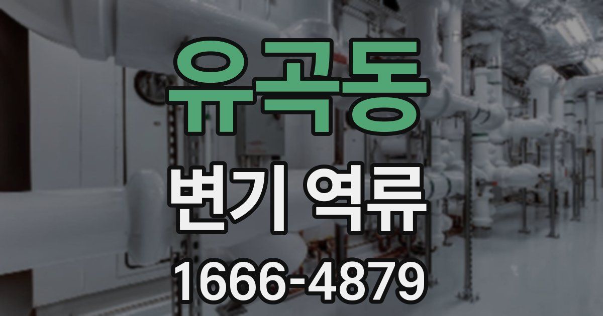 유곡동 변기 역류