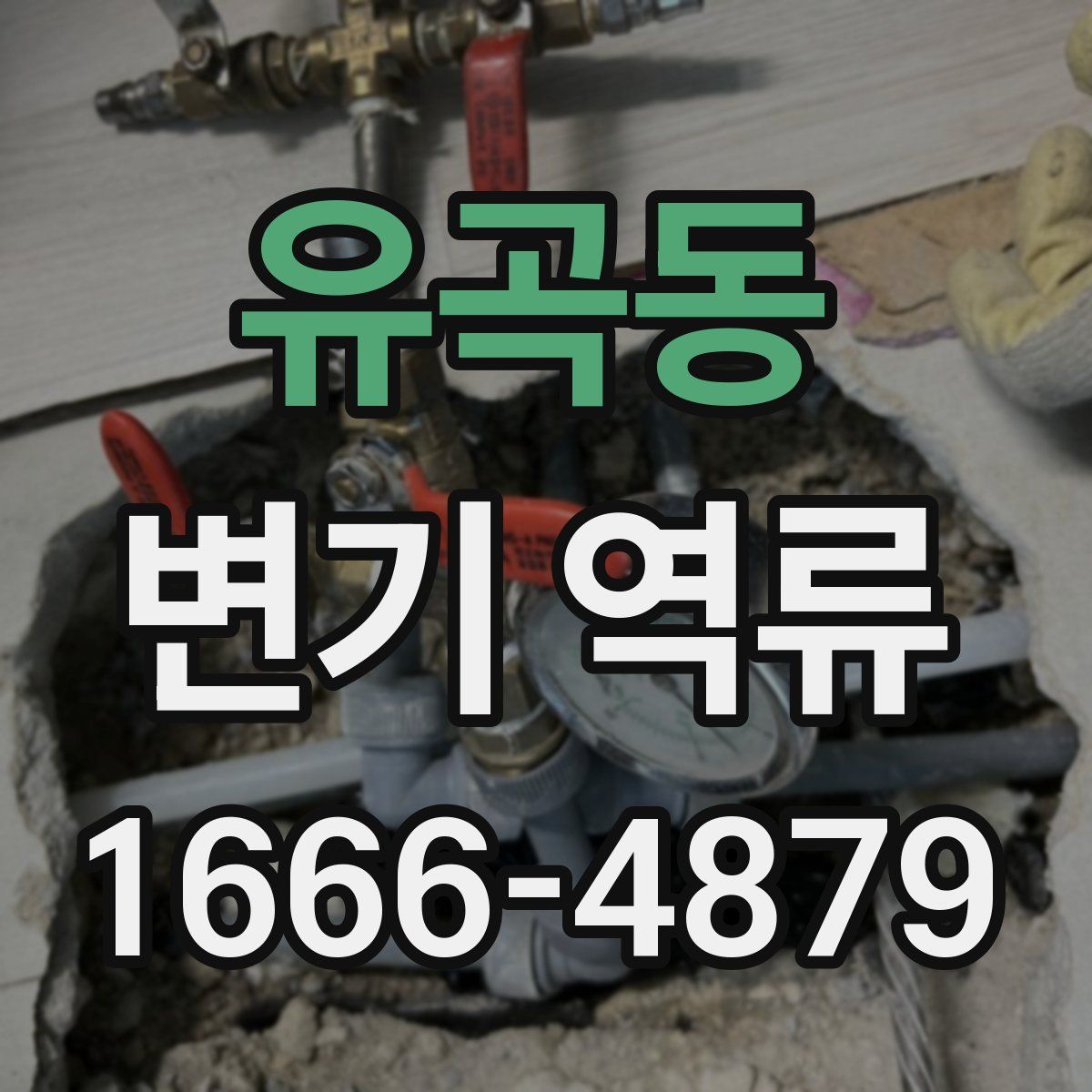 유곡동 변기 역류