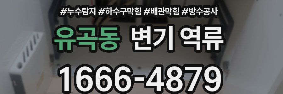 유곡동 변기 역류