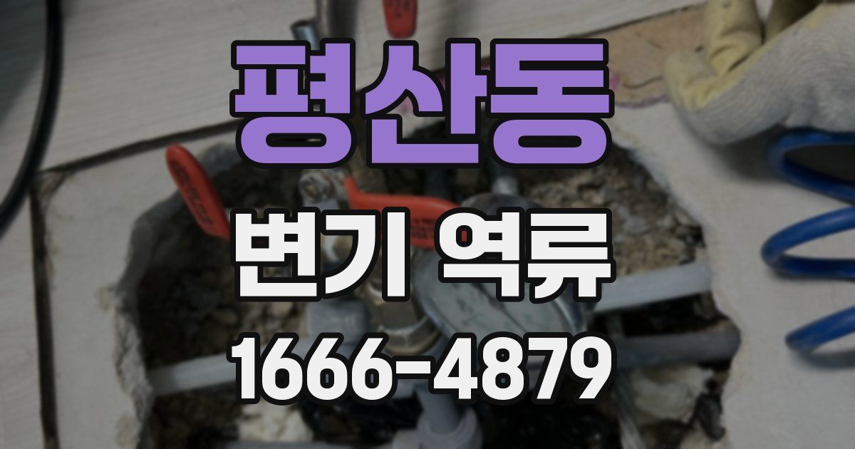 평산동 변기 역류