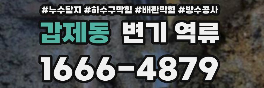 갑제동 변기 역류