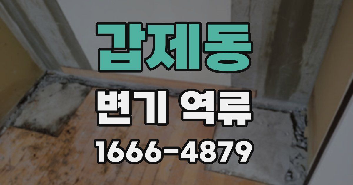 갑제동 변기 역류