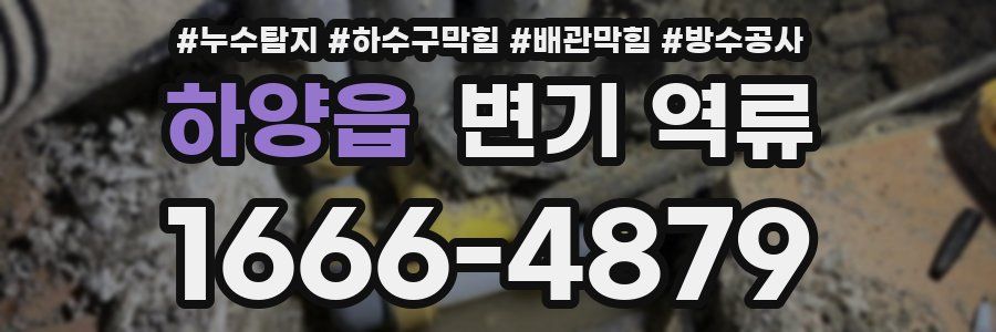 하양읍 변기 역류