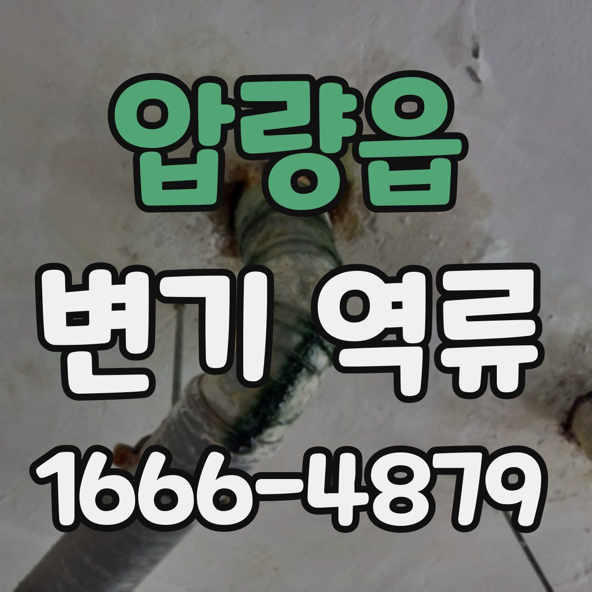 압량읍 변기 역류