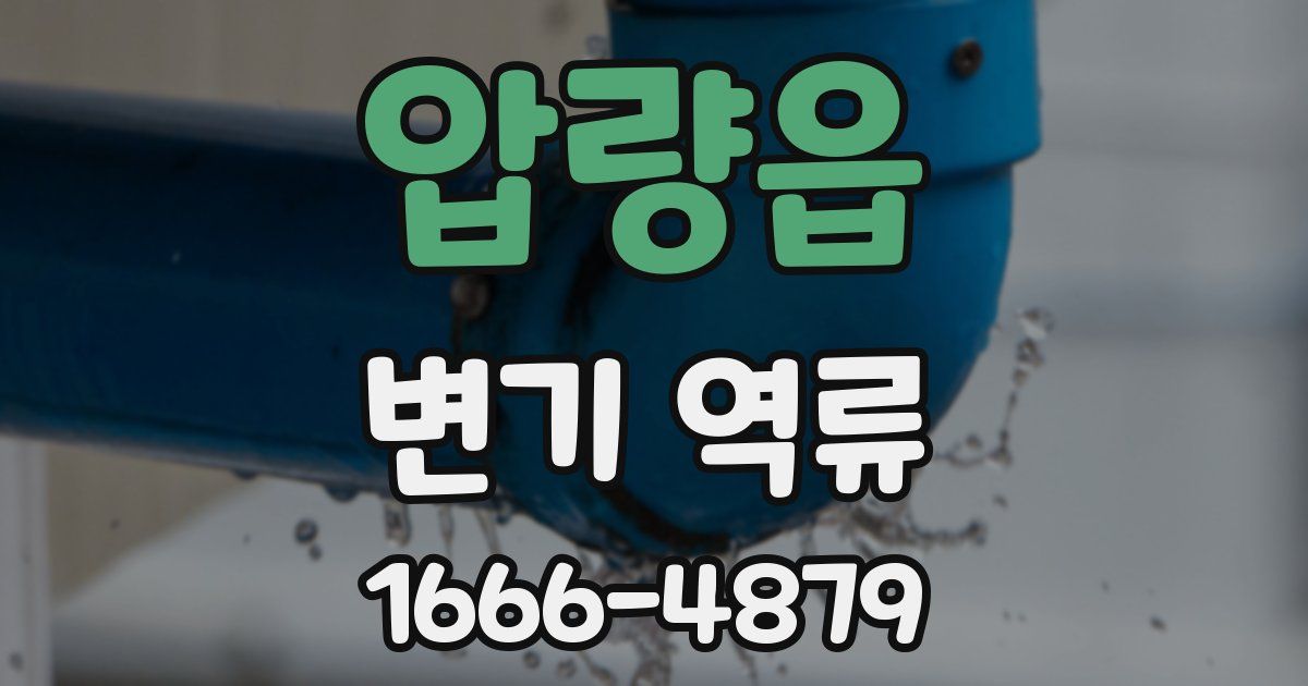 압량읍 변기 역류