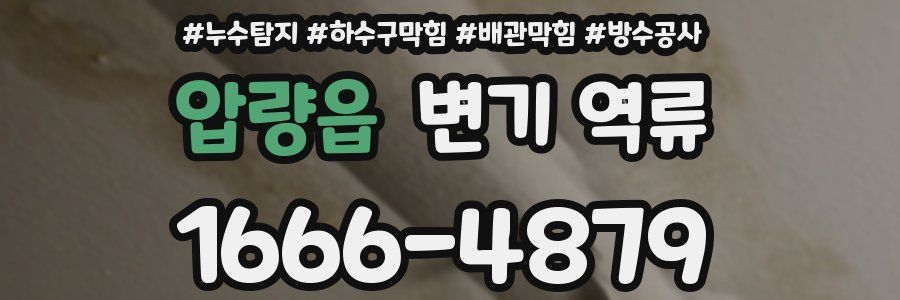 압량읍 변기 역류