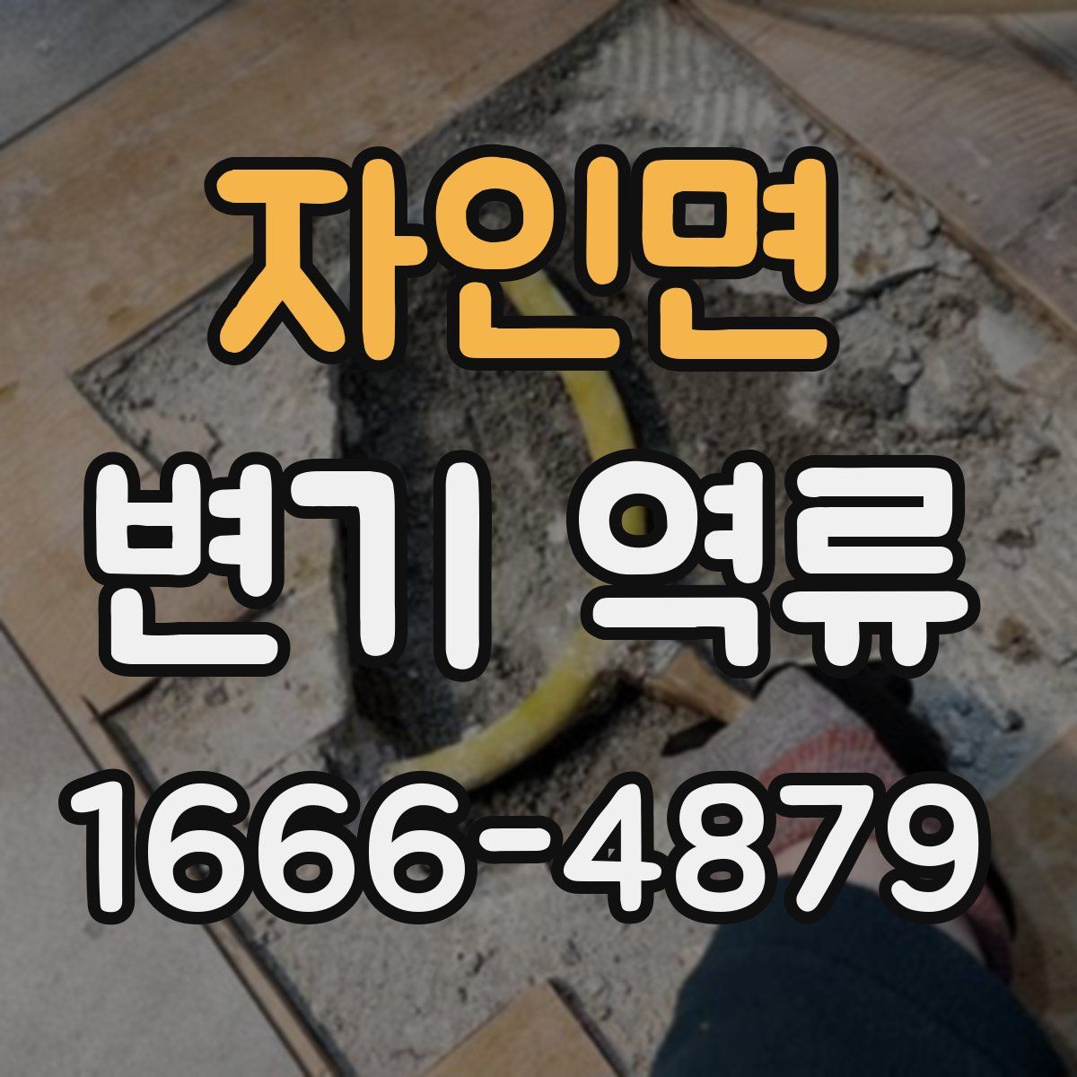 자인면 변기 역류