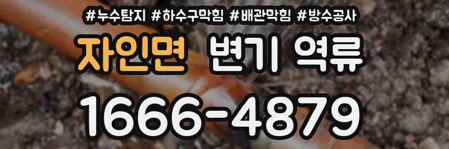 자인면 변기 역류