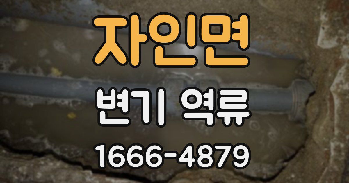 자인면 변기 역류