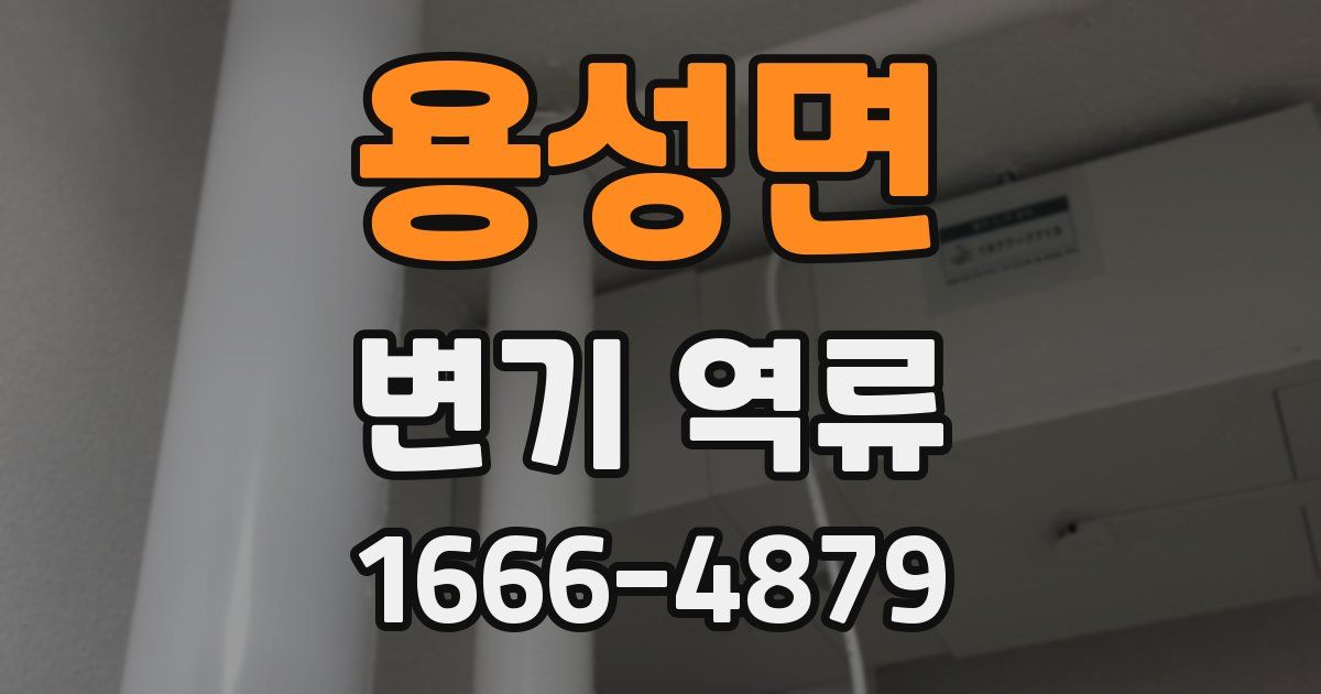 용성면 변기 역류