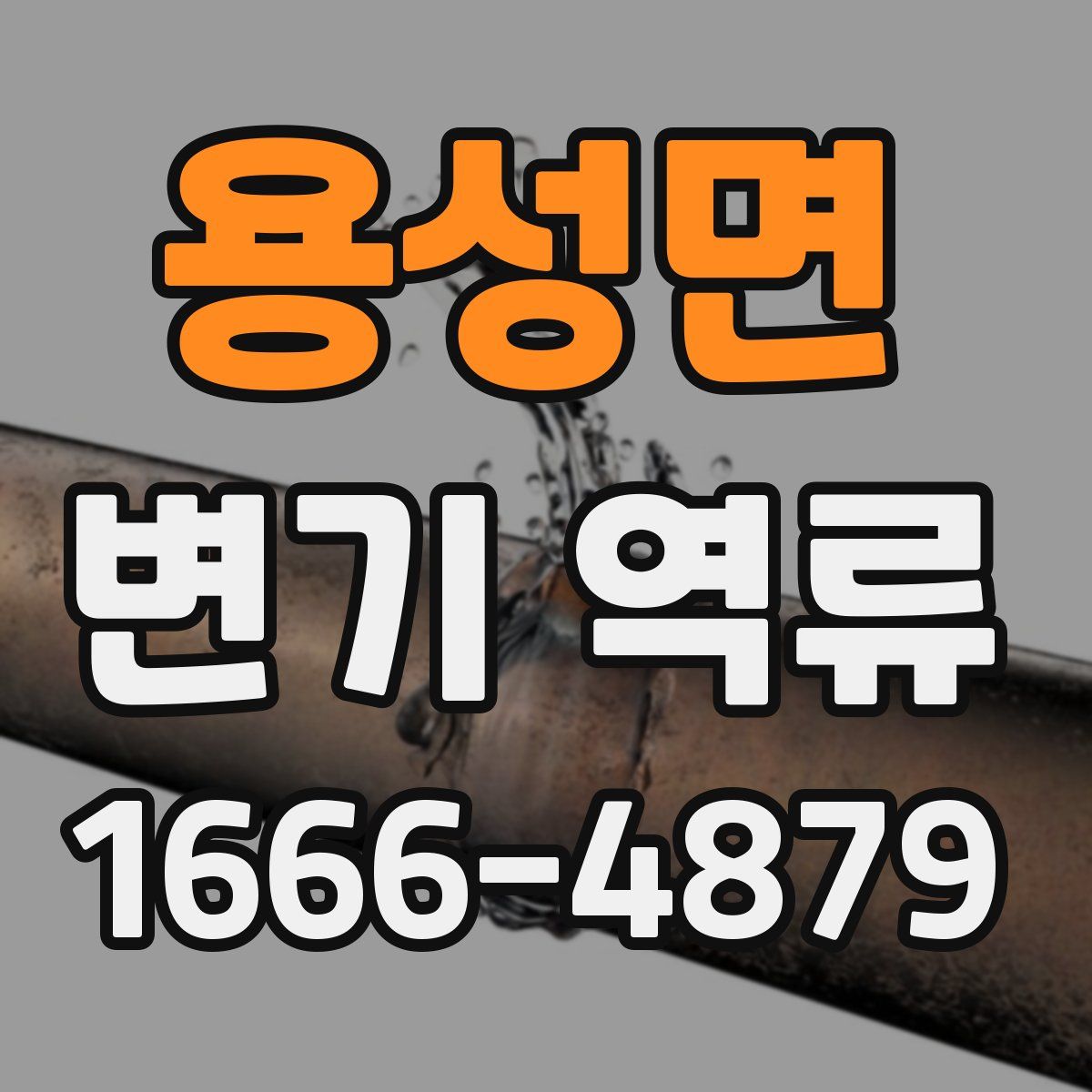 용성면 변기 역류