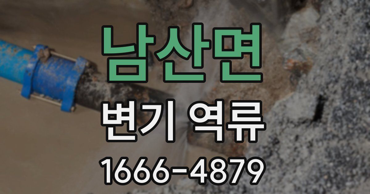 남산면 변기 역류