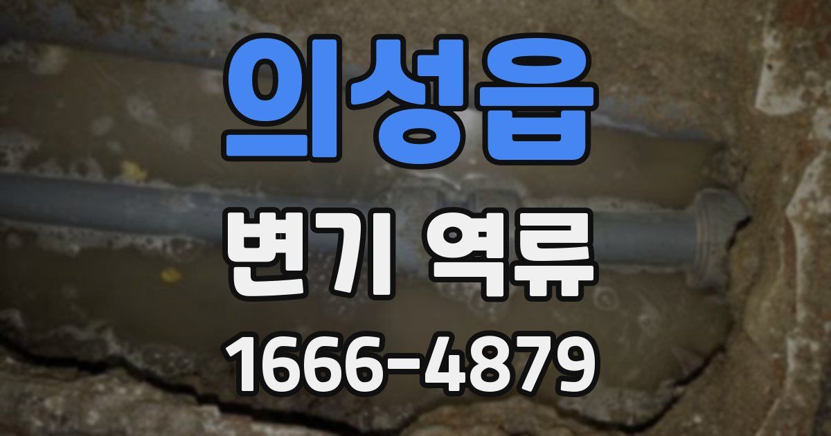 의성읍 변기 역류