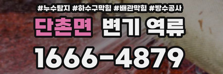 단촌면 변기 역류