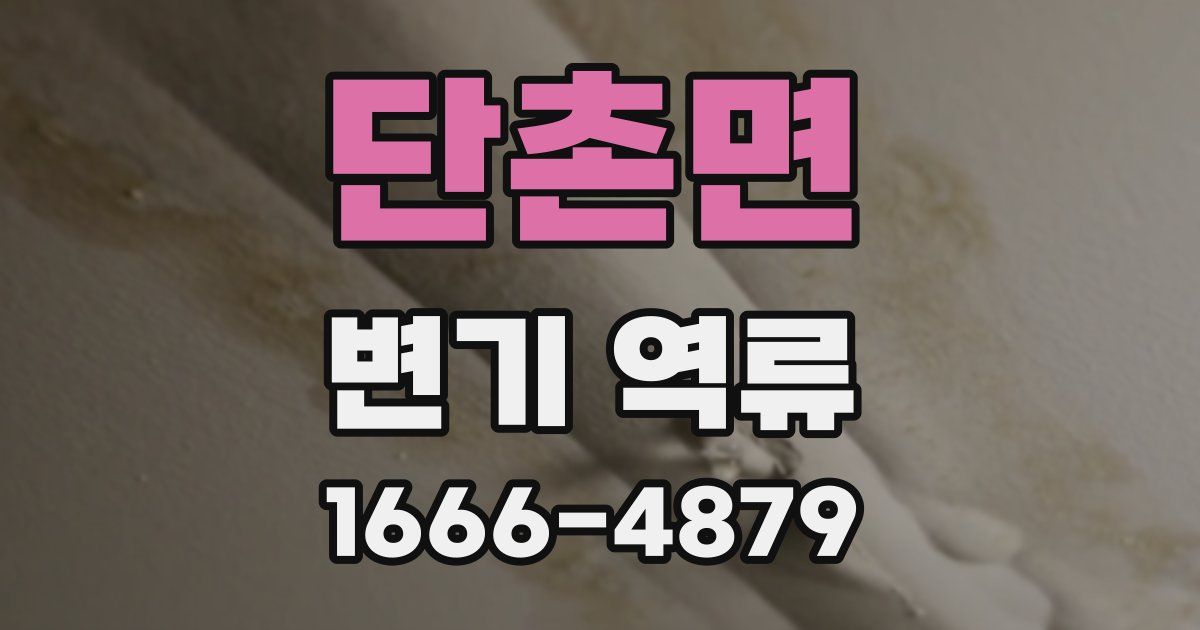 단촌면 변기 역류