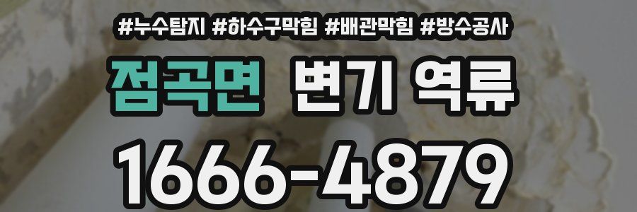 점곡면 변기 역류