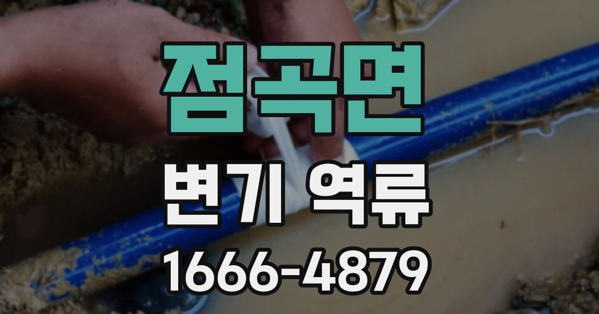 점곡면 변기 역류