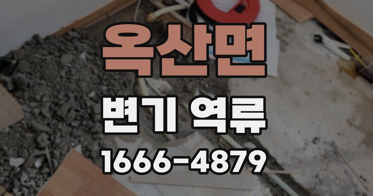 옥산면 변기 역류