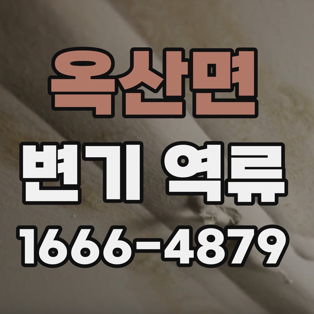 옥산면 변기 역류
