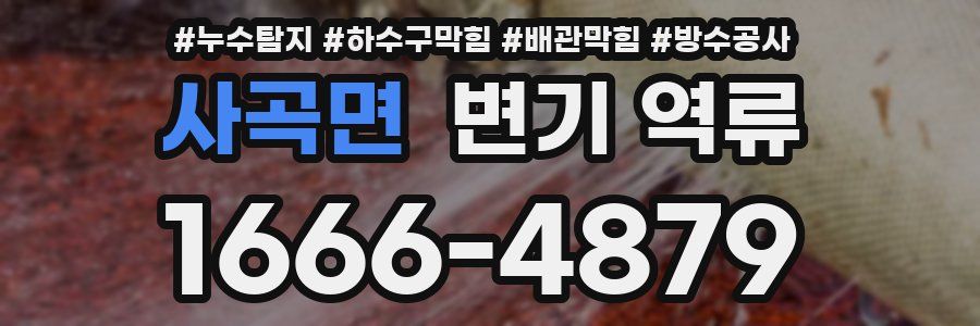 사곡면 변기 역류