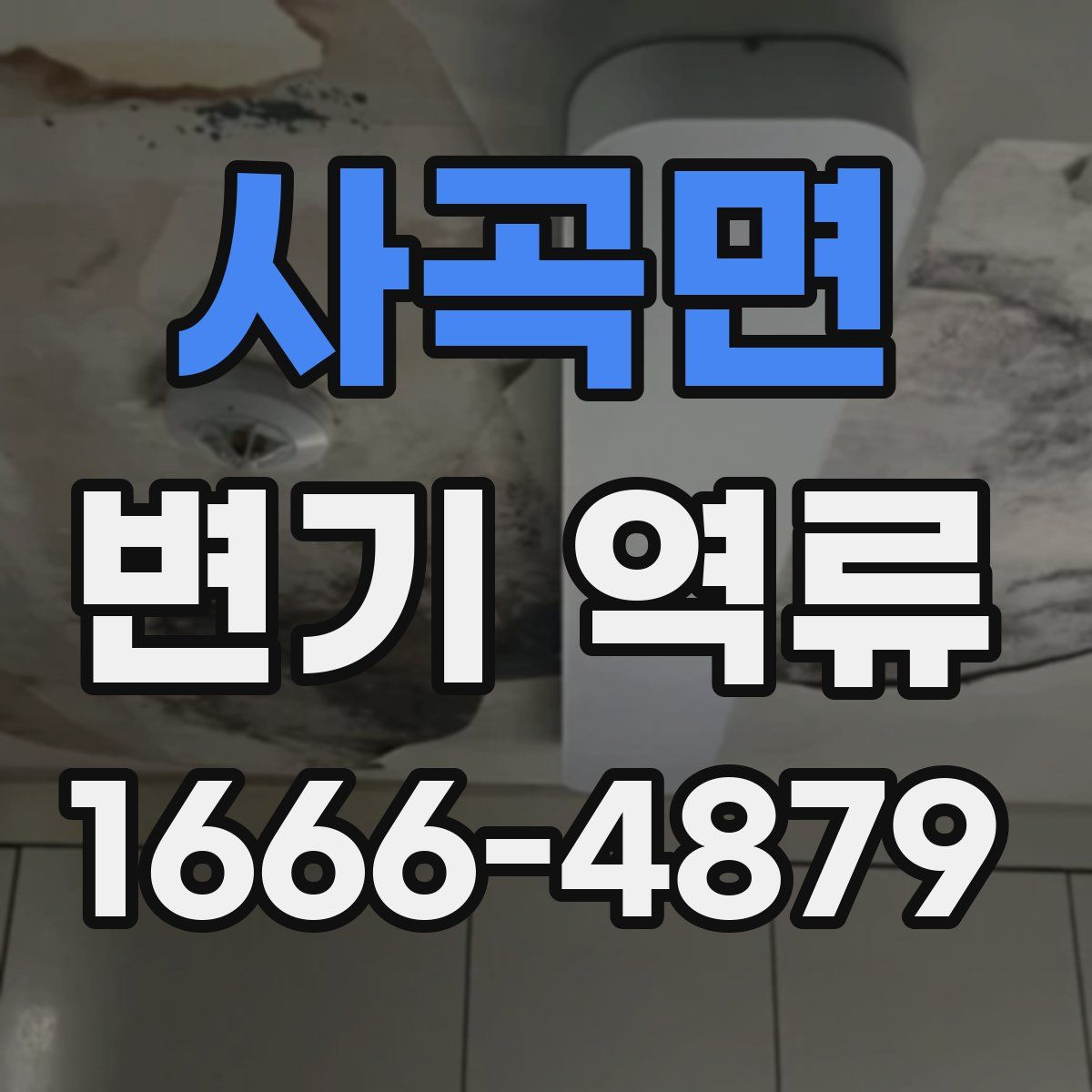 사곡면 변기 역류