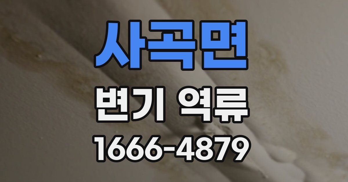사곡면 변기 역류
