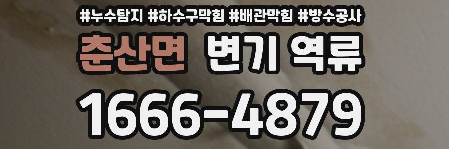 춘산면 변기 역류