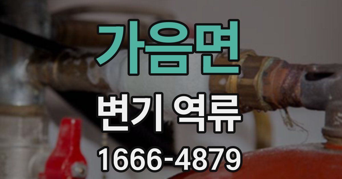 가음면 변기 역류