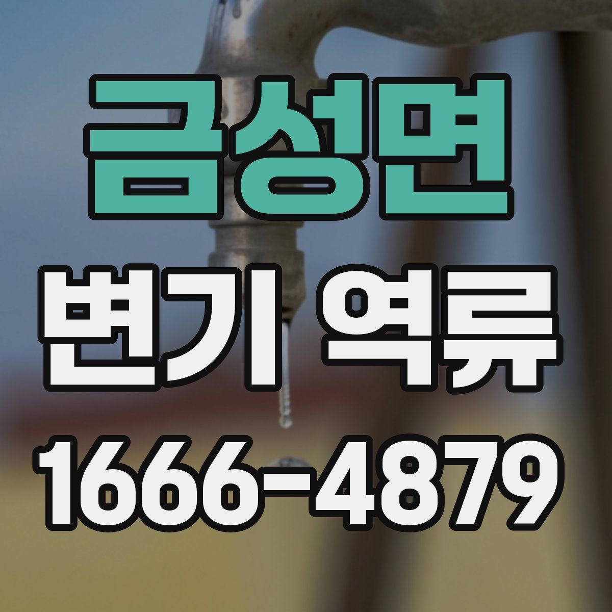 금성면 변기 역류