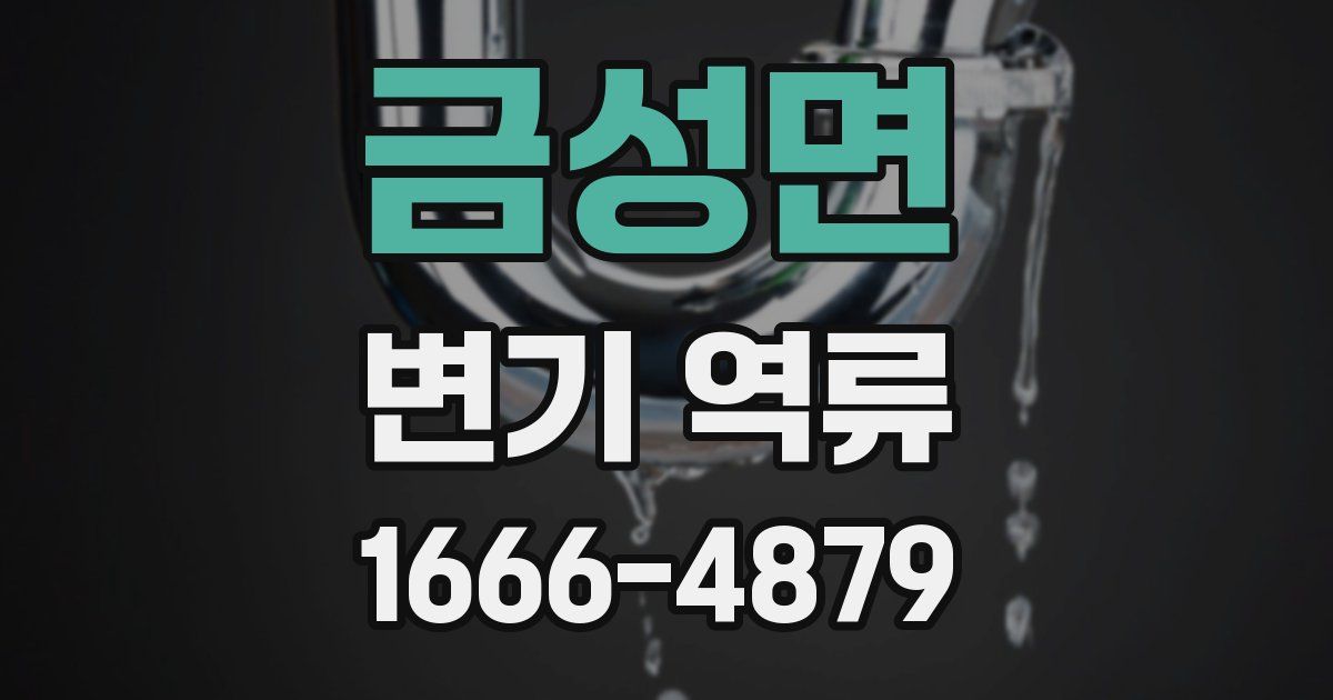 금성면 변기 역류