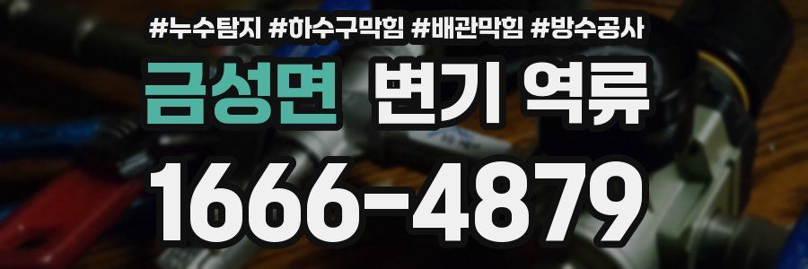 금성면 변기 역류
