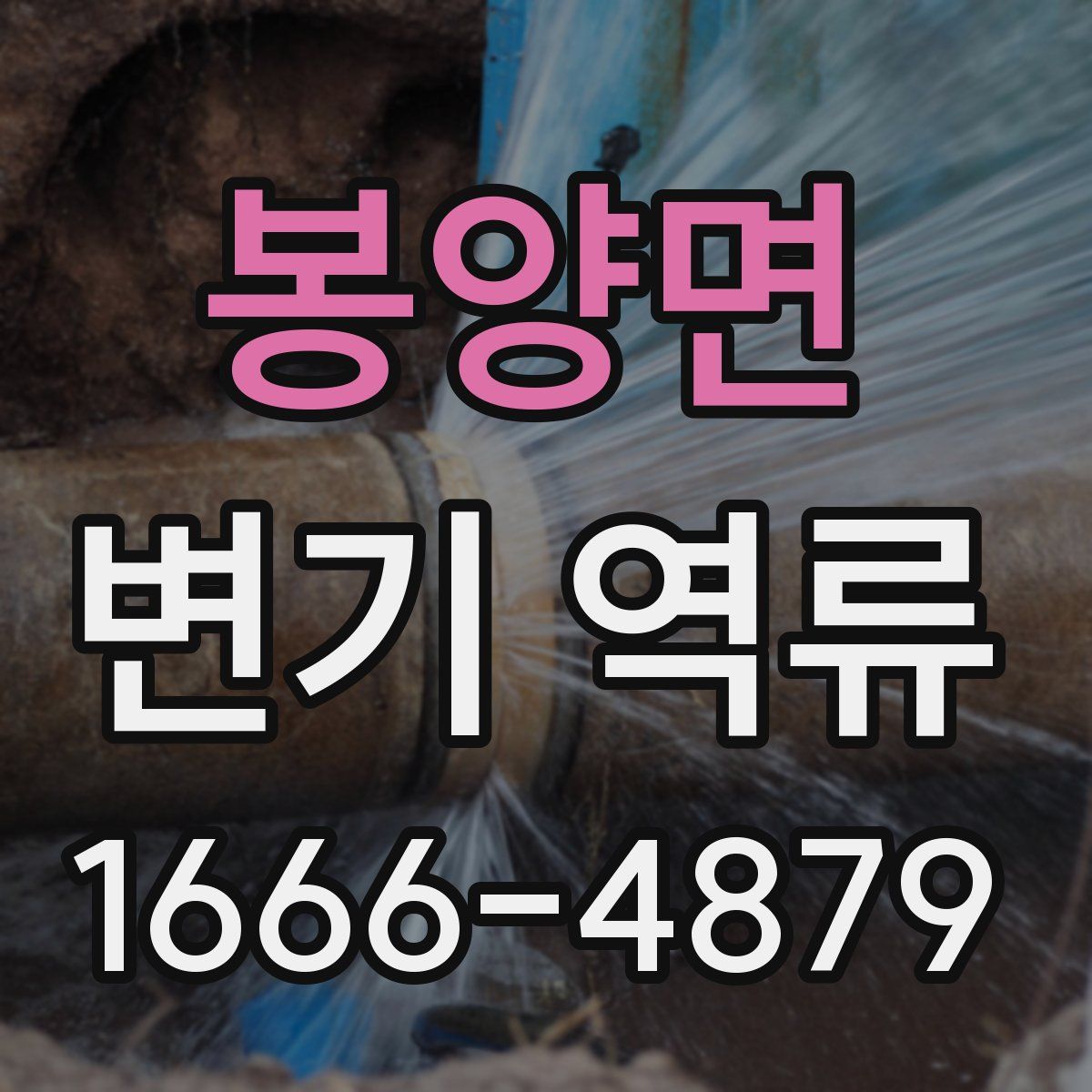 봉양면 변기 역류