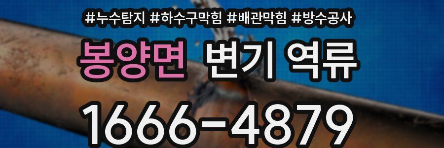 봉양면 변기 역류