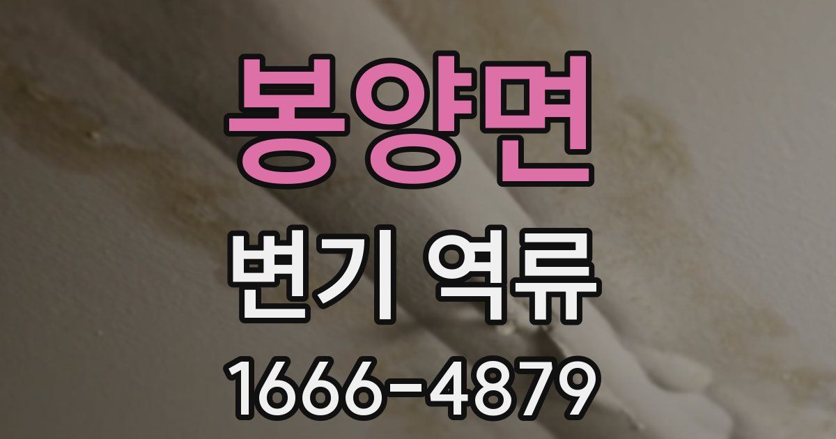봉양면 변기 역류