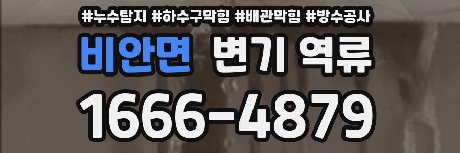 비안면 변기 역류
