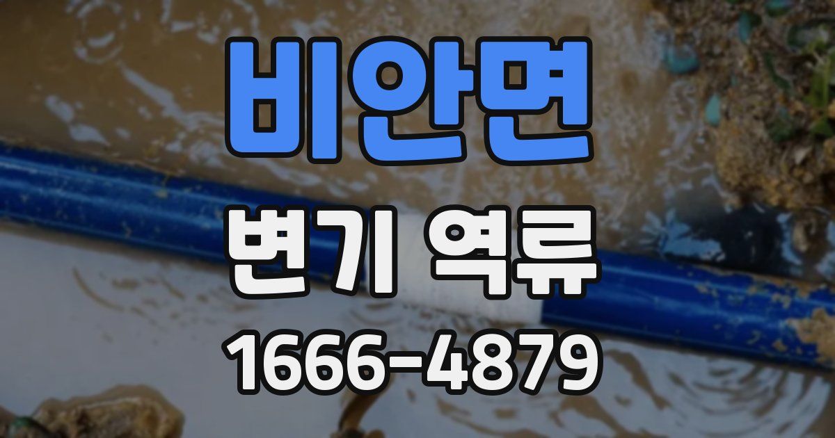 비안면 변기 역류