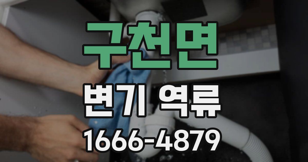 구천면 변기 역류