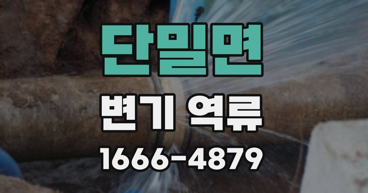 단밀면 변기 역류