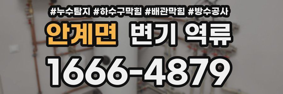 안계면 변기 역류