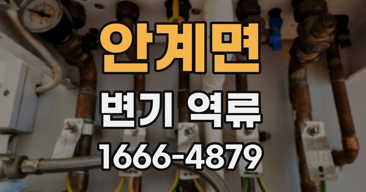안계면 변기 역류