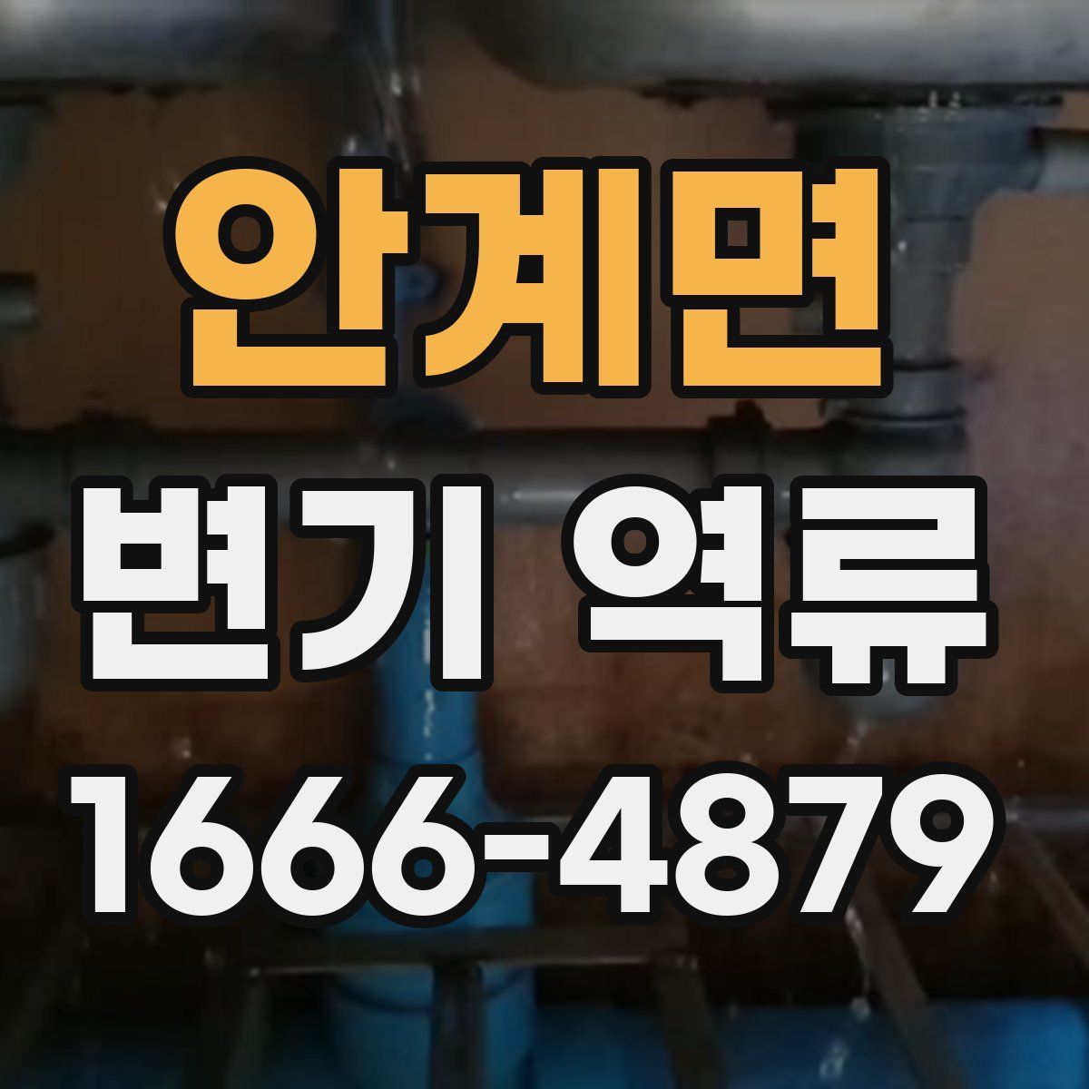 안계면 변기 역류
