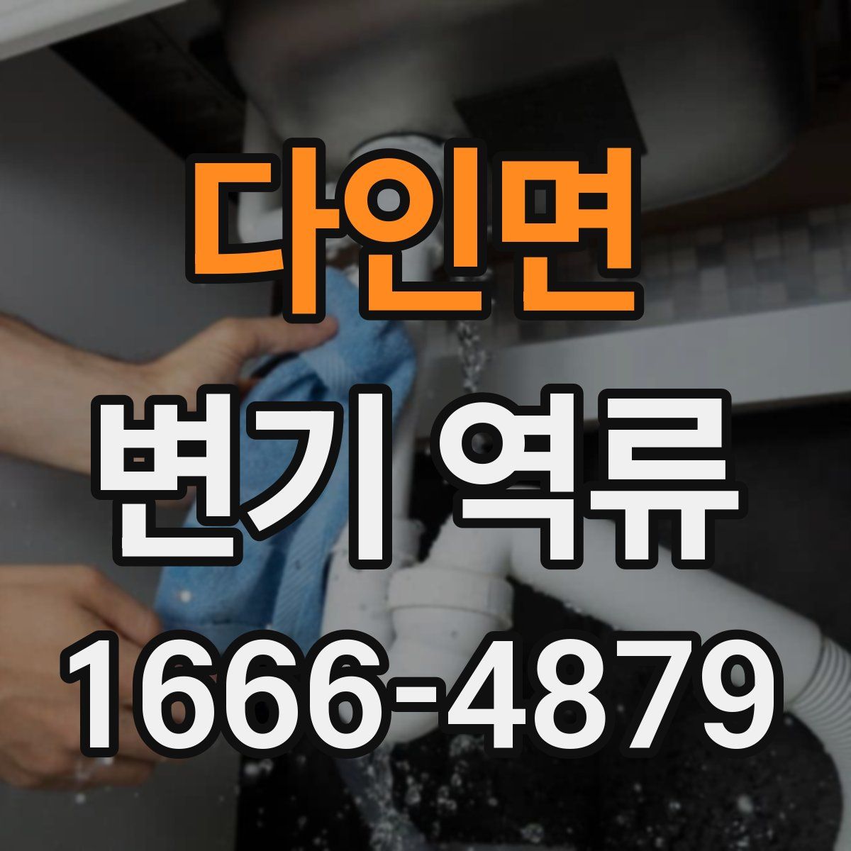 다인면 변기 역류
