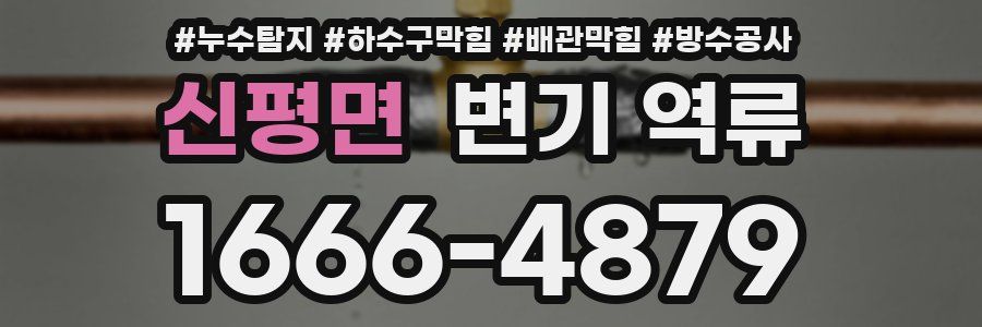 신평면 변기 역류
