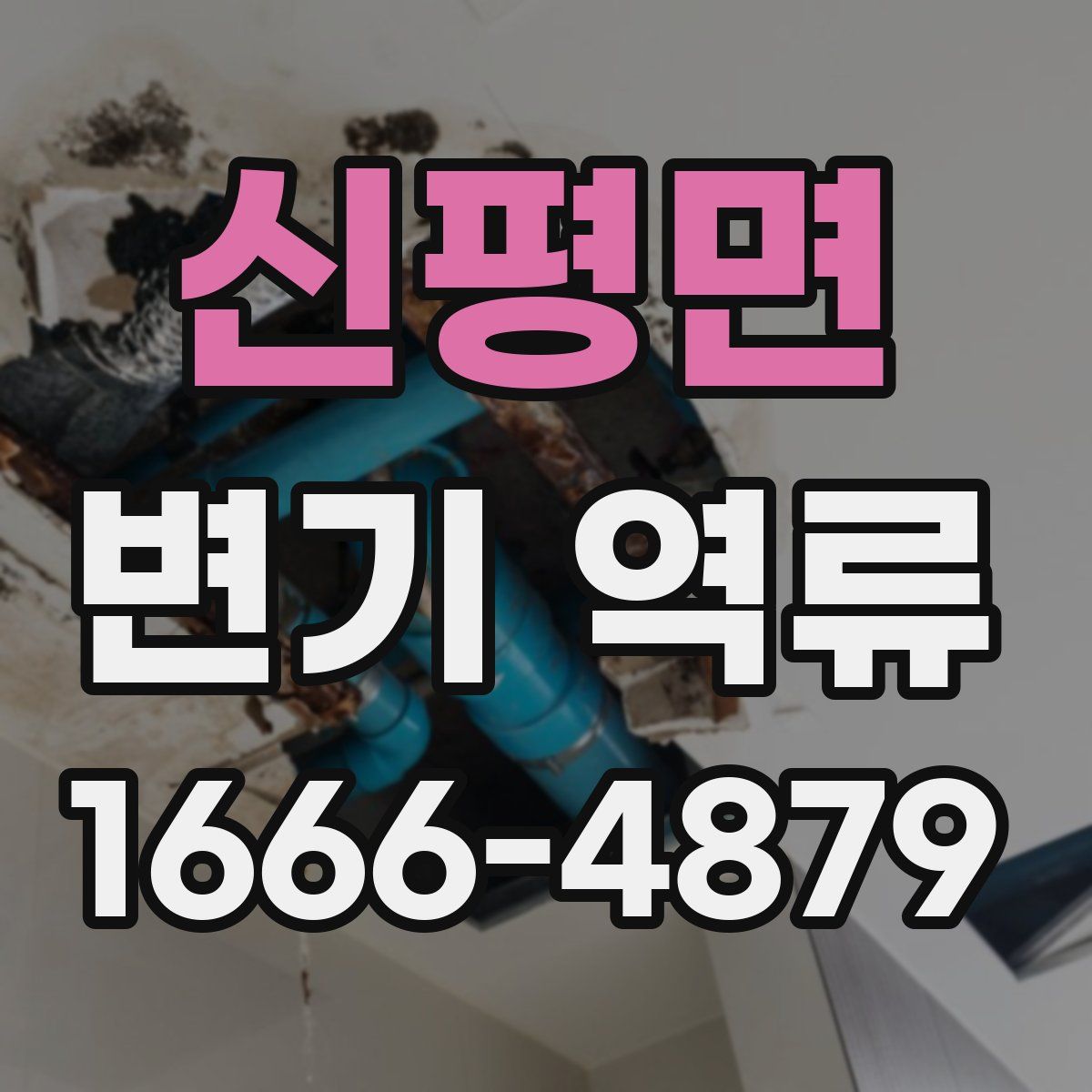 신평면 변기 역류