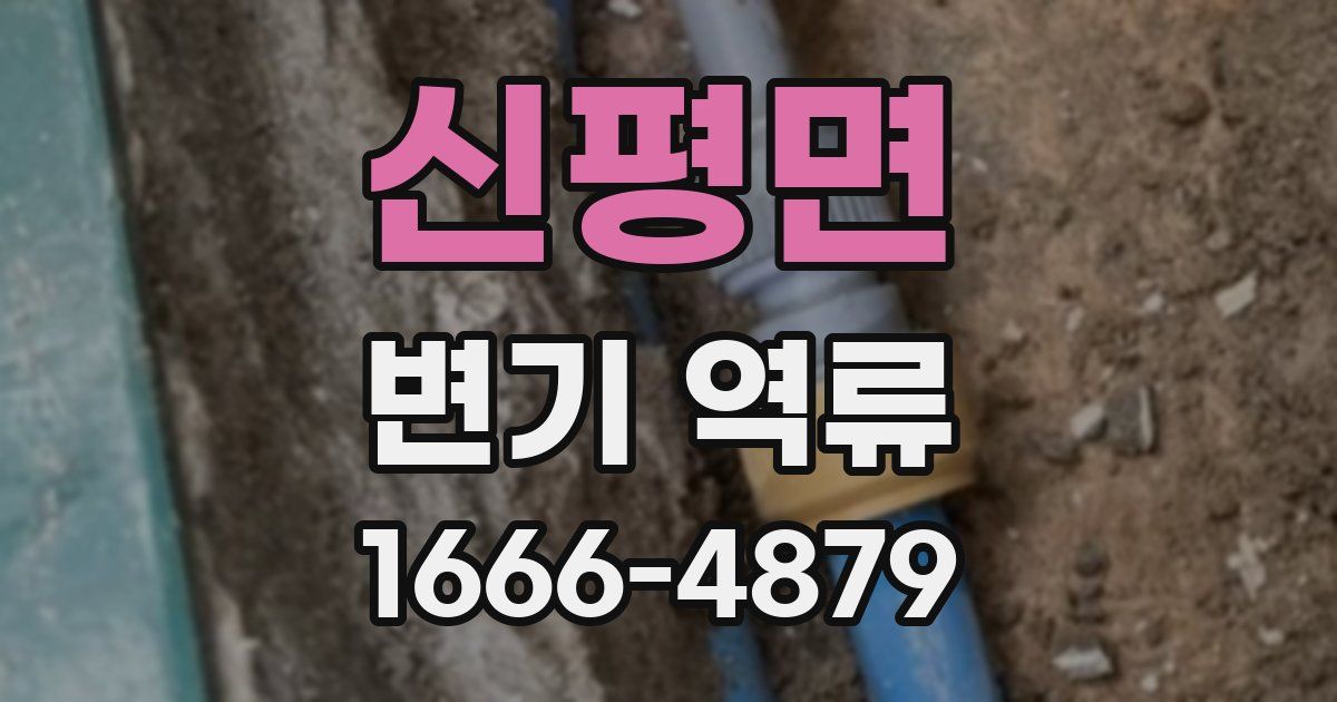 신평면 변기 역류
